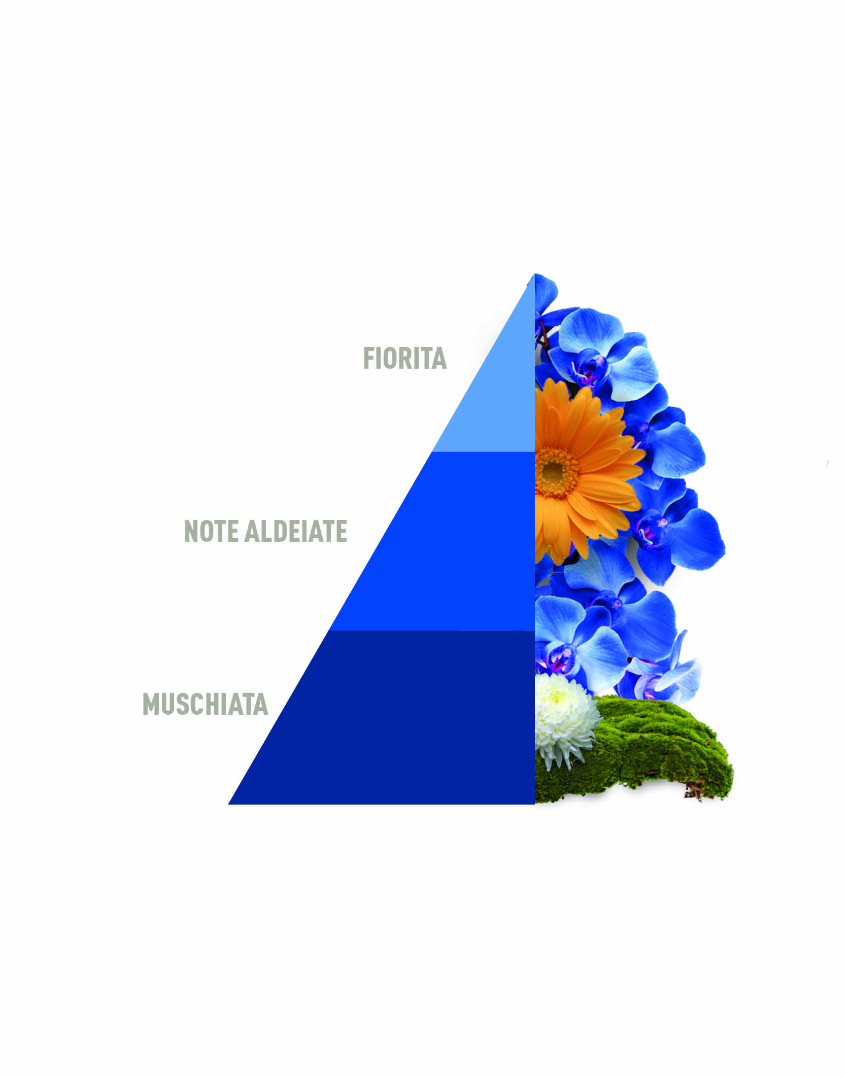 Parfum de rufe Horomia Blue, 250 ml