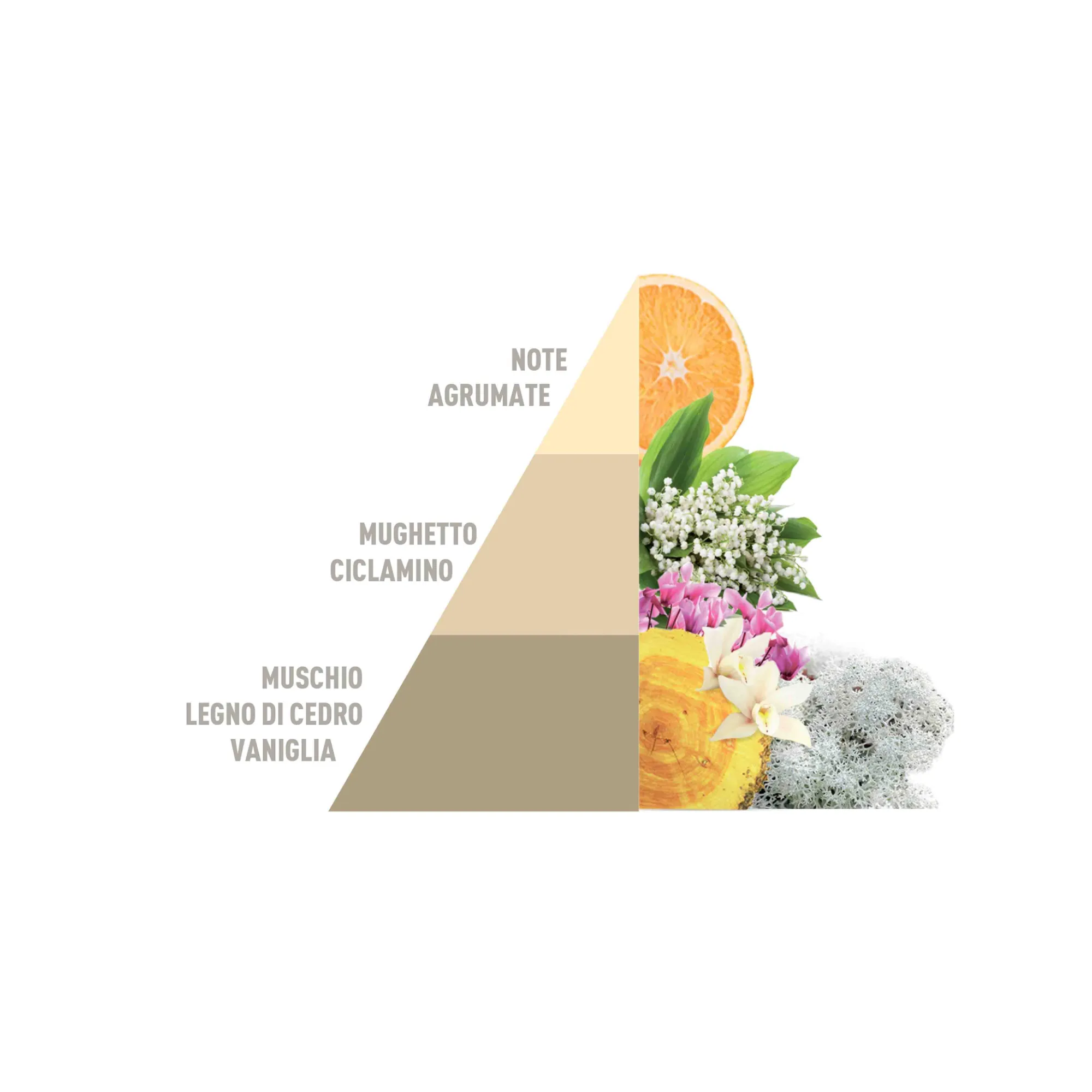 Parfum de rufe Horomia Gold Argan, 250 ml